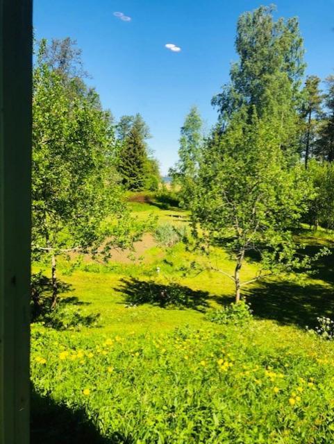 Altja Villa-Cottage With Sauna Exterior photo
